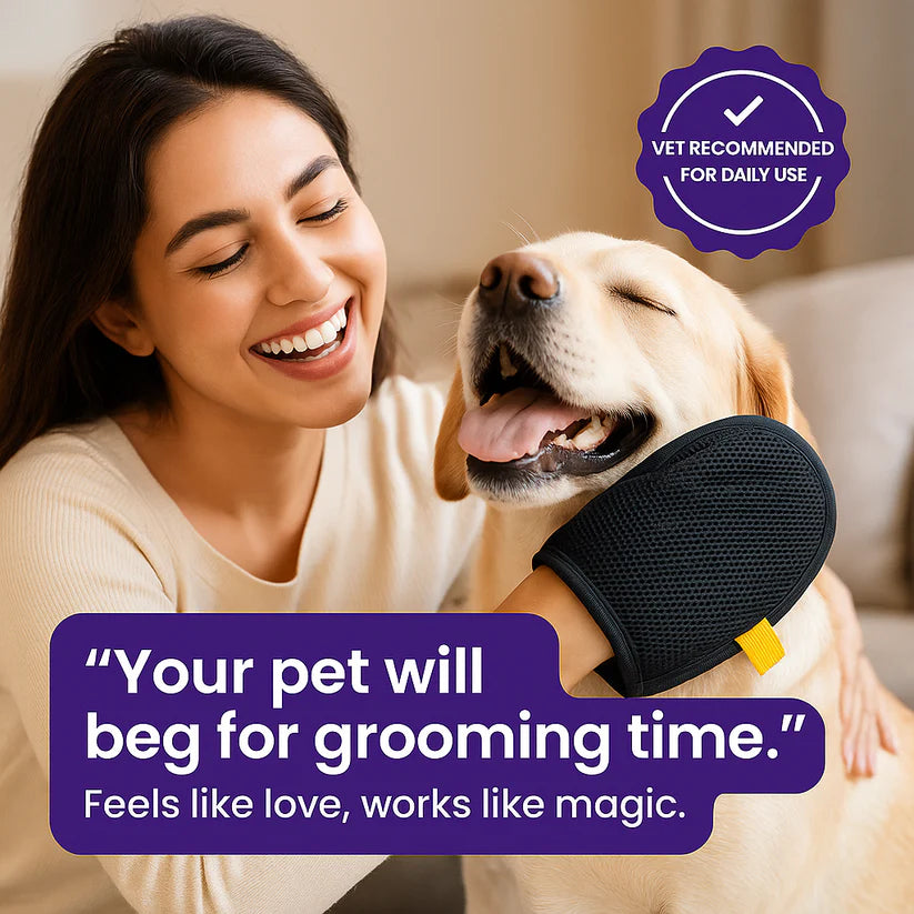 Pet Hair Removal Gloves BUY 1 GET 1 FREE